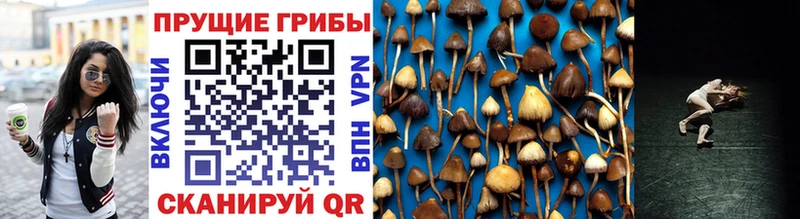 Галлюциногенные грибы Magic Shrooms  Аткарск 